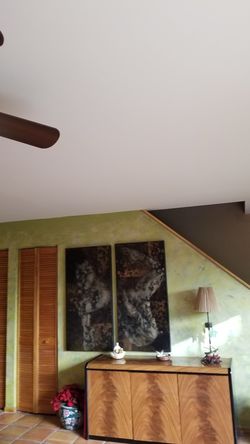 Paint ,wall and ceilings restoration