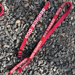 Dog Leash And Collar Service Dog