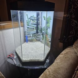 Octagon 20 Gallon Fish Tank, Only Used For One Month. 