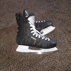 Iceskates