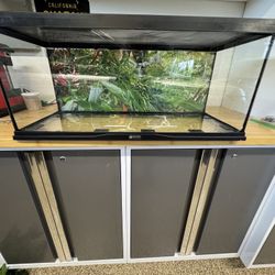 Reptile Enclosure 