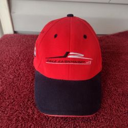 chase authentic Dale Earnhardt Jr. nu-fit hat