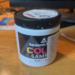 Benjamin Moore Sample 971 Olympic Mountain 