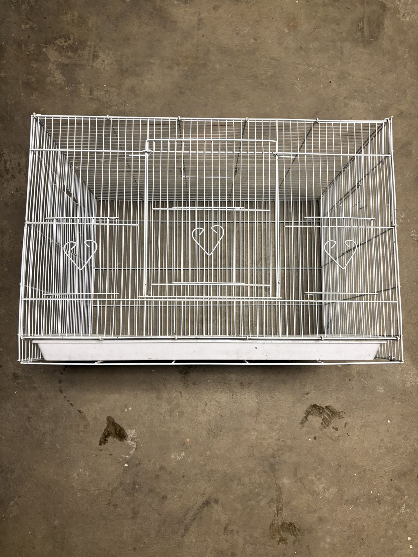 Bird Cage