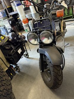 2022 Honda Ruckus