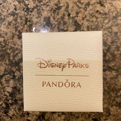 50th Anniversary Walt Disney charm 