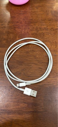 Genuine Apple charger