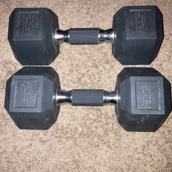 25 Pound Dumbbells X2