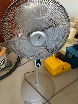 Fan