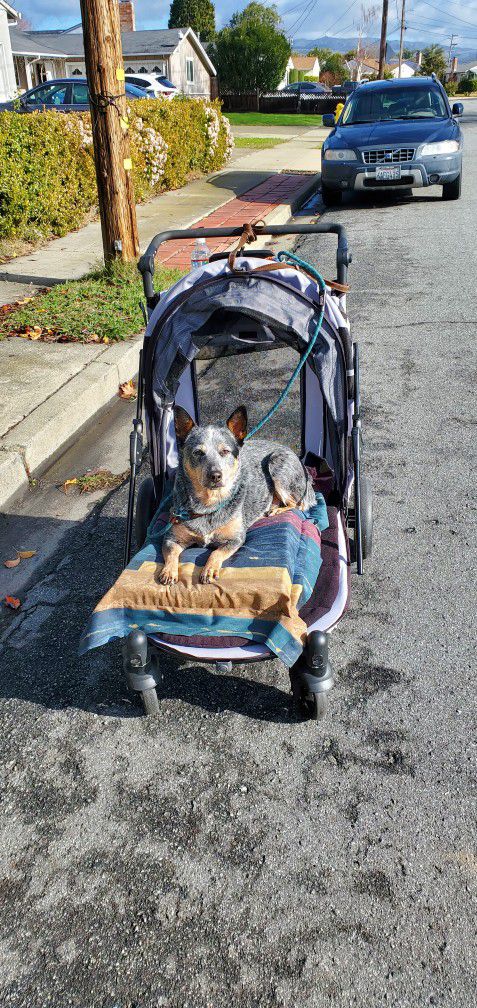 Pet Gear Dog Stroller 