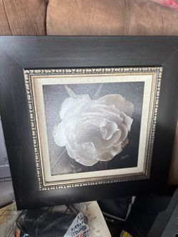 3 B&W prints in frame