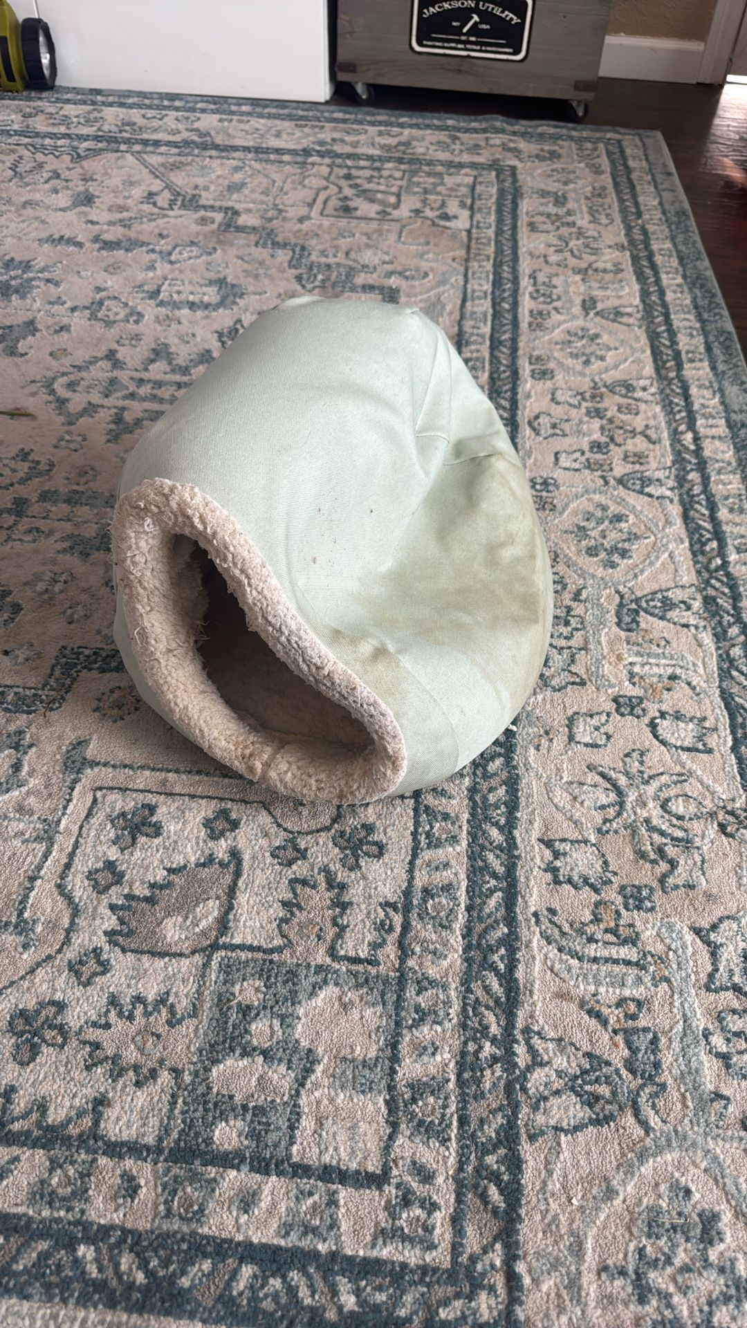 Free Cat Cave Bed