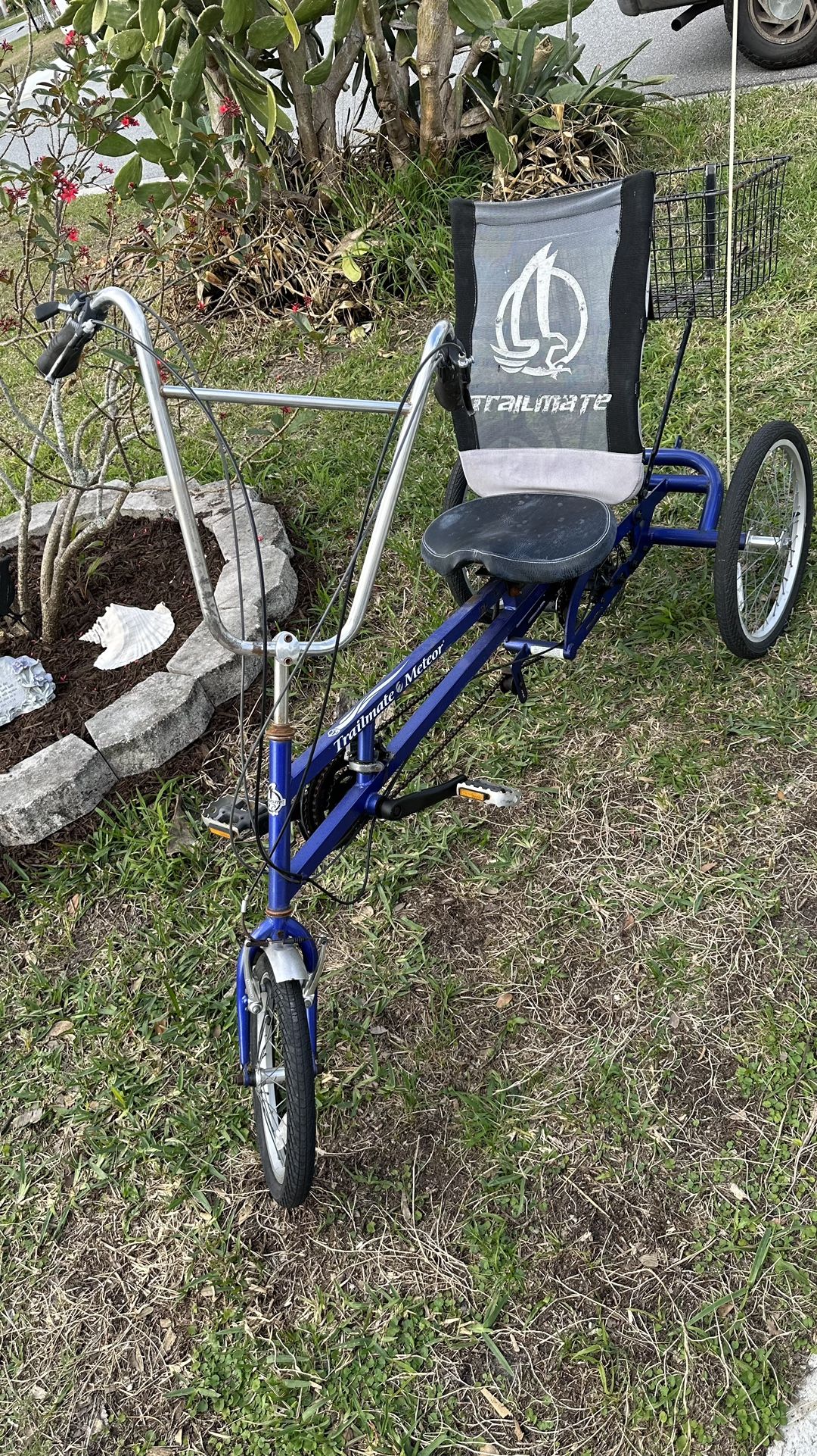 Blue Three Wheel Bike