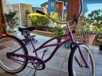 Dynoglide beach cruiser