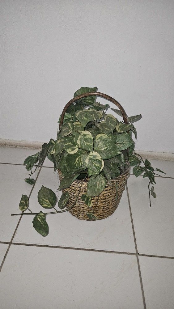 W27" H21" fake plant