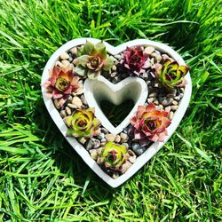 Cement Heart Succulent Arrangement | Mothers Day Plants
