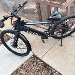 Electric bike concord class 1