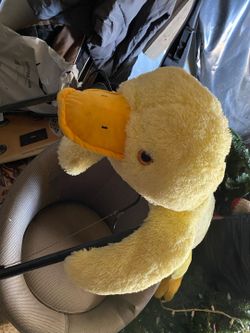 DUCK