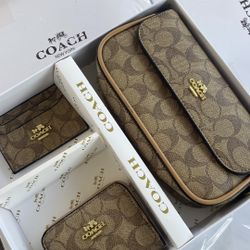 Brown Coach Set Purse + Bag 