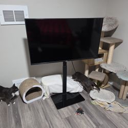 TCL Smart 55 Inch TV & Stand 