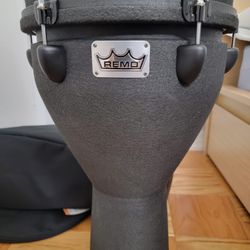 Remo Drum
