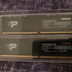 16gb DDR4 3000 MHz Patriot RAM