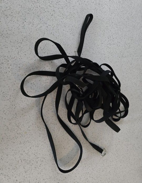 Training Leash -30FT