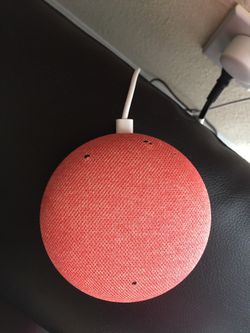 Google home coral color