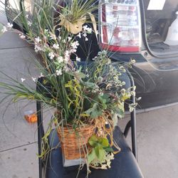 Plant With Basket W Galvanized Metal Around Edges