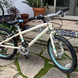 Raleigh Kids Bike 20"