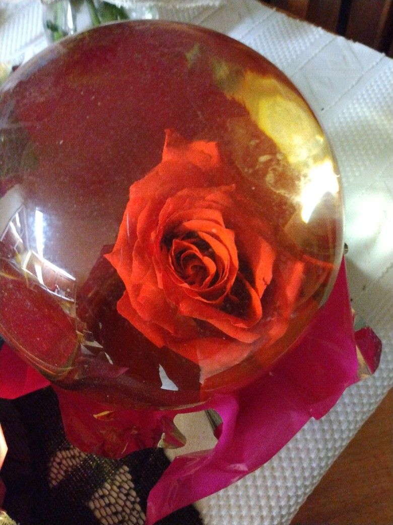 Roses In A Ball Of Water