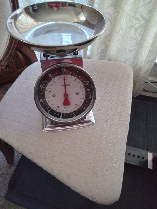 Taylor Modern Mechanical Kitchen Weighing Food Scale Weighs up to 11lbs, Measures in Grams and Ounces