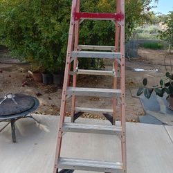 Werner Twin Stepladder