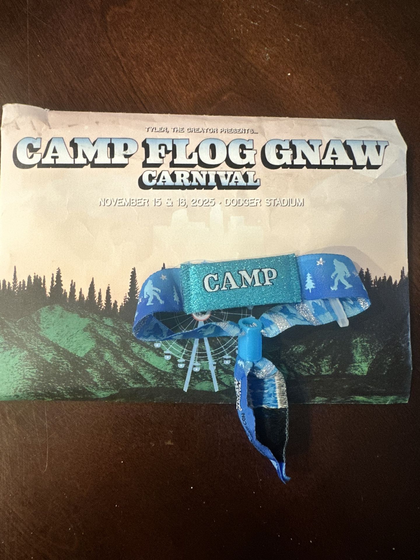 1 Camp Flog Gnaw Carnival Ticket
