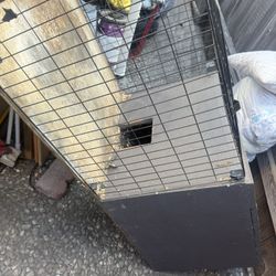 Guinea pig / Rabbit cage 