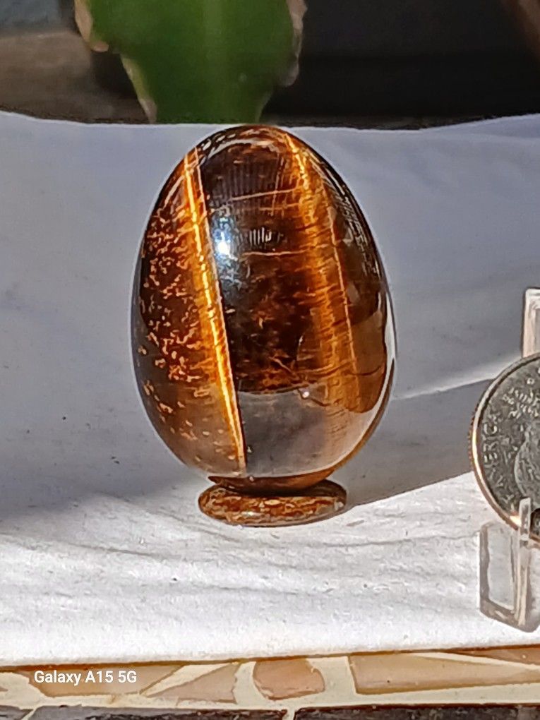 Tigers Eye Egg
