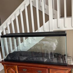 75 gallon fish/reptile tank