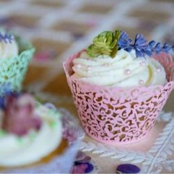 NEW Cupcake Wrappers- Seafoam Green- Set of 24