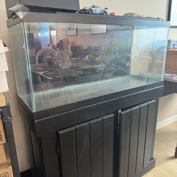30 Gallon fish Tank Aquarium