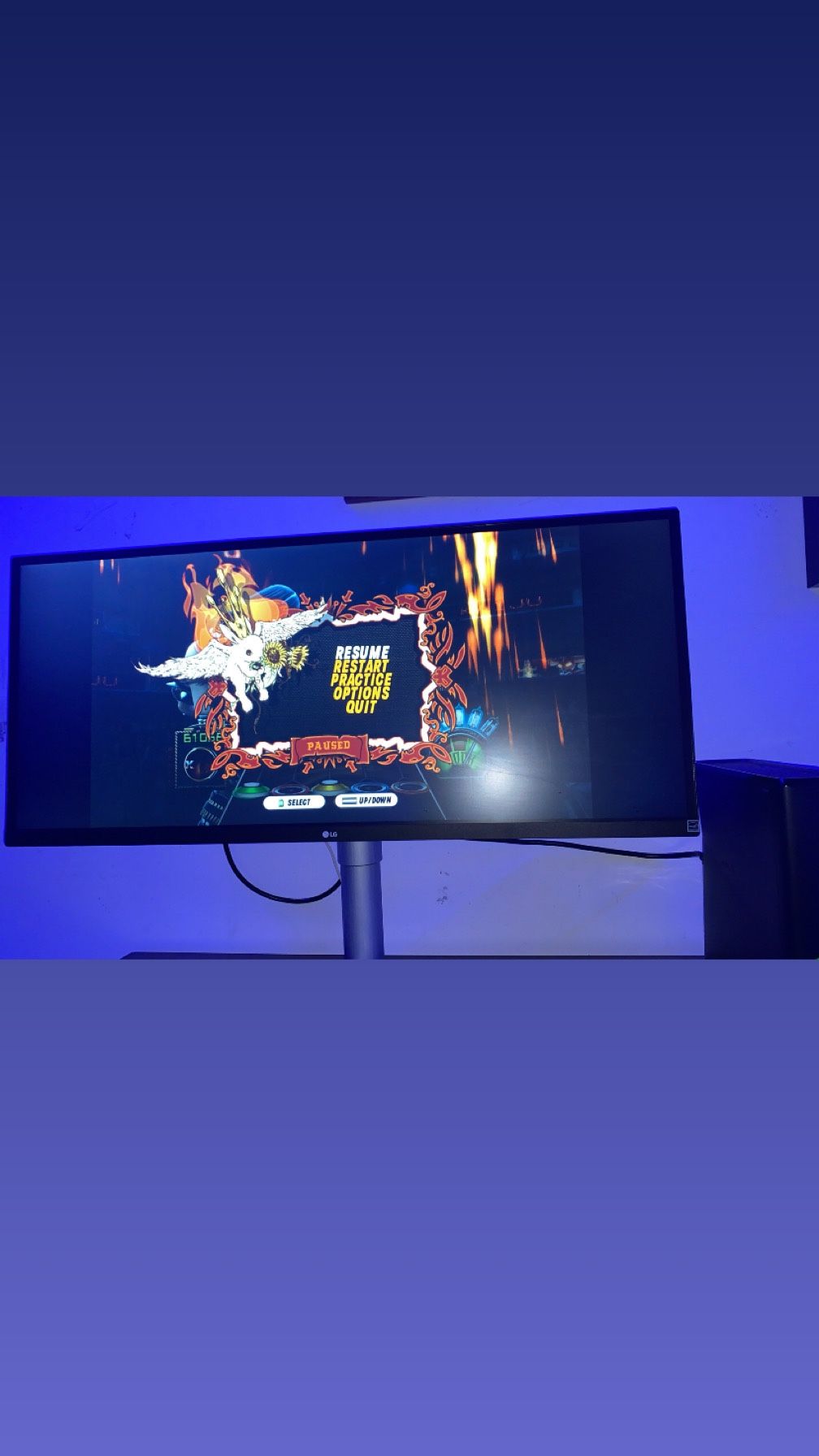 LG Pc Monitor