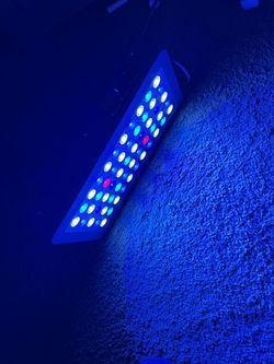 Viparspectra Reef Light