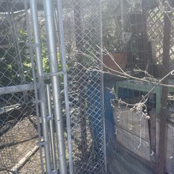 Chicken Coop