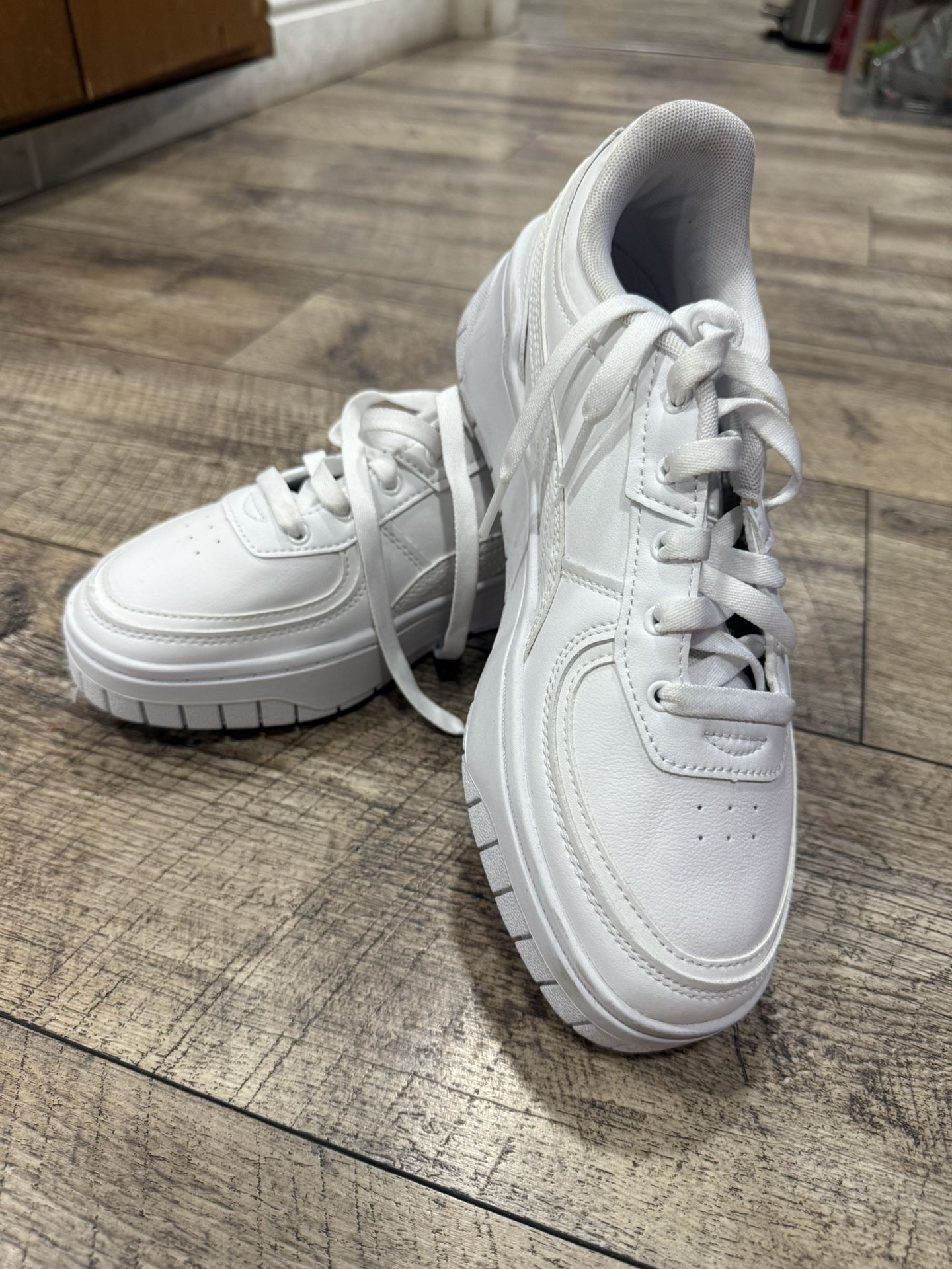 White pumas