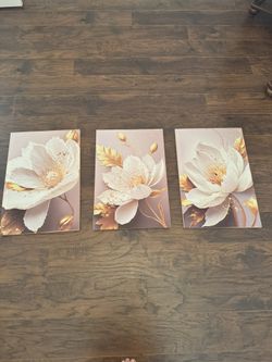 A Set Of 3 Canvas Paintings