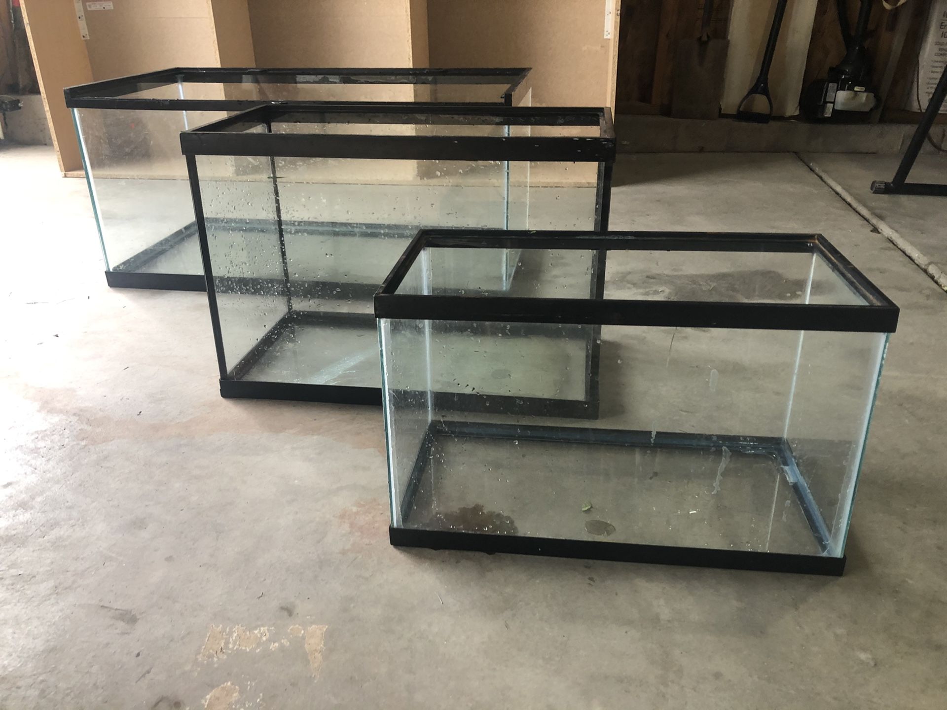 Glass animal cages