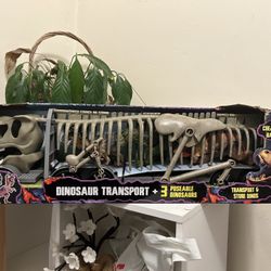 Dinosaur Transport