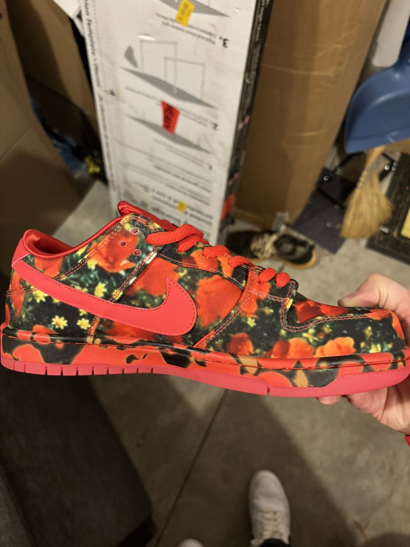 $100 Special. Nike Dunk Wizard Of Oz Men Size 9.5
