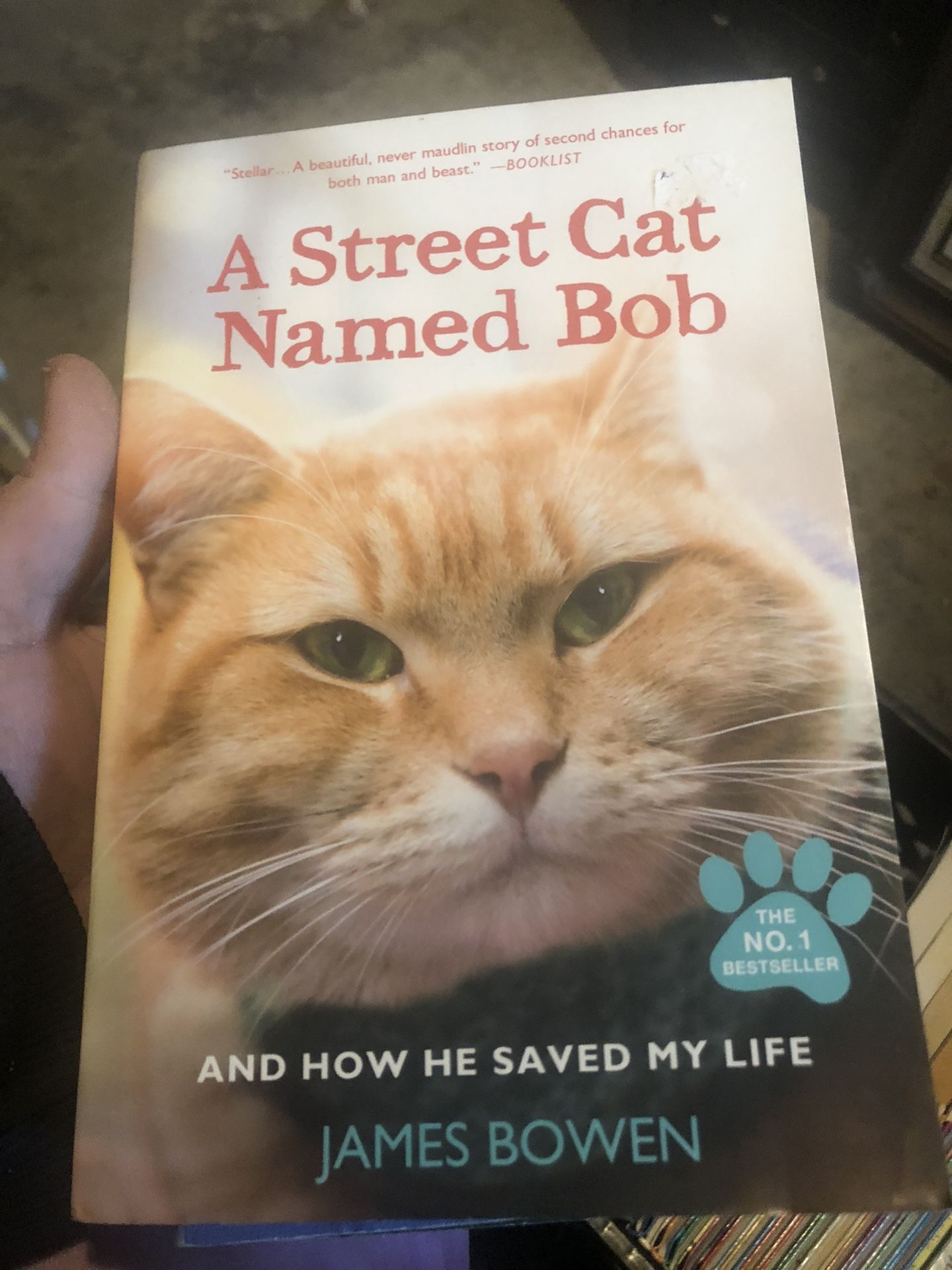 Street Cat Named Bob Book