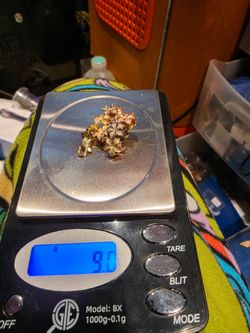 14k Real gold Hawaii flower 9grams