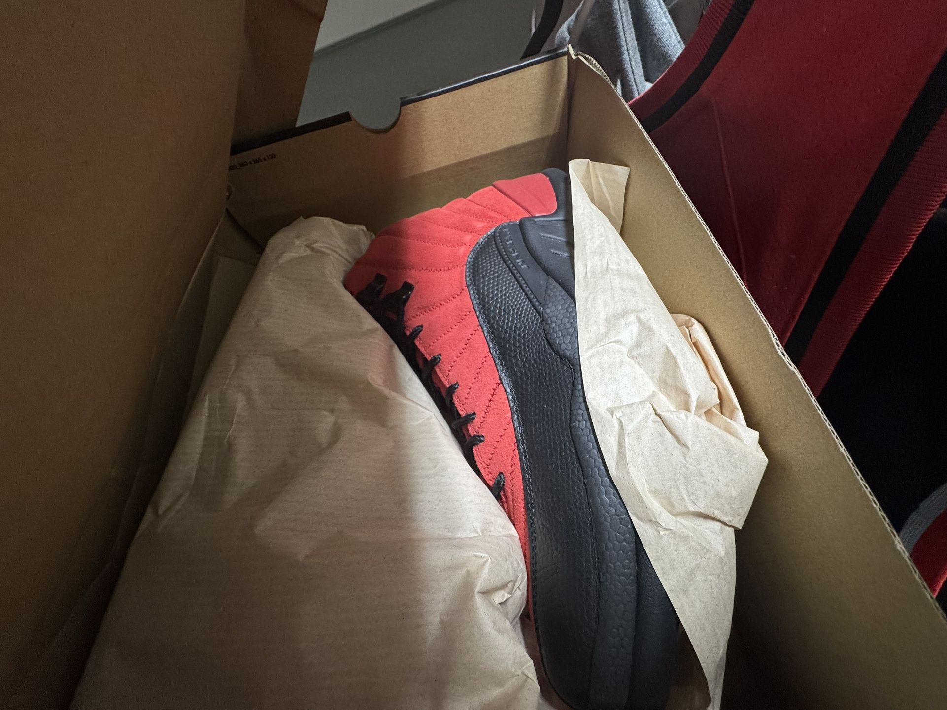 Jordan Retro 12 Reverse Flu Game